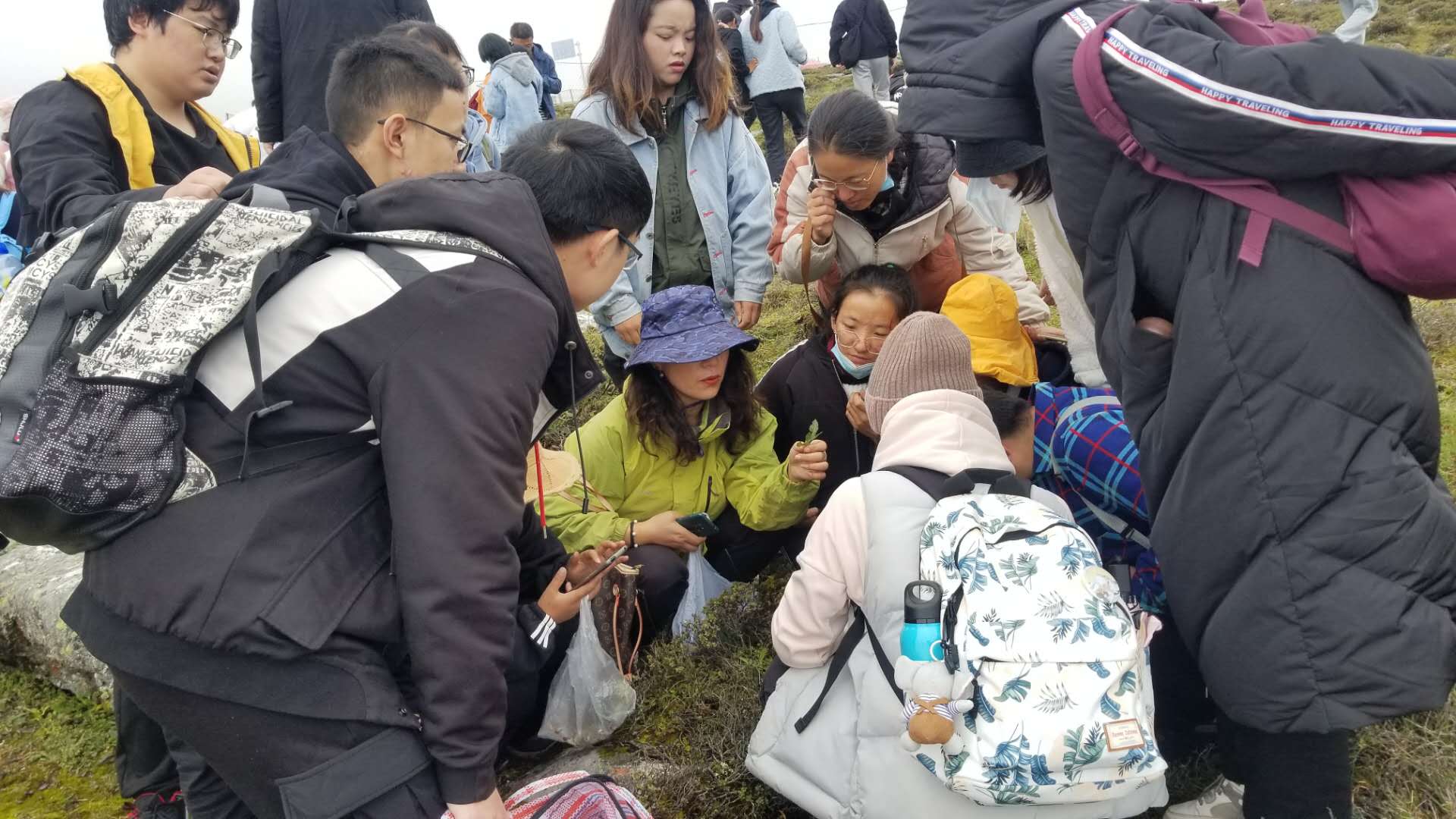 香港资料一句爆特