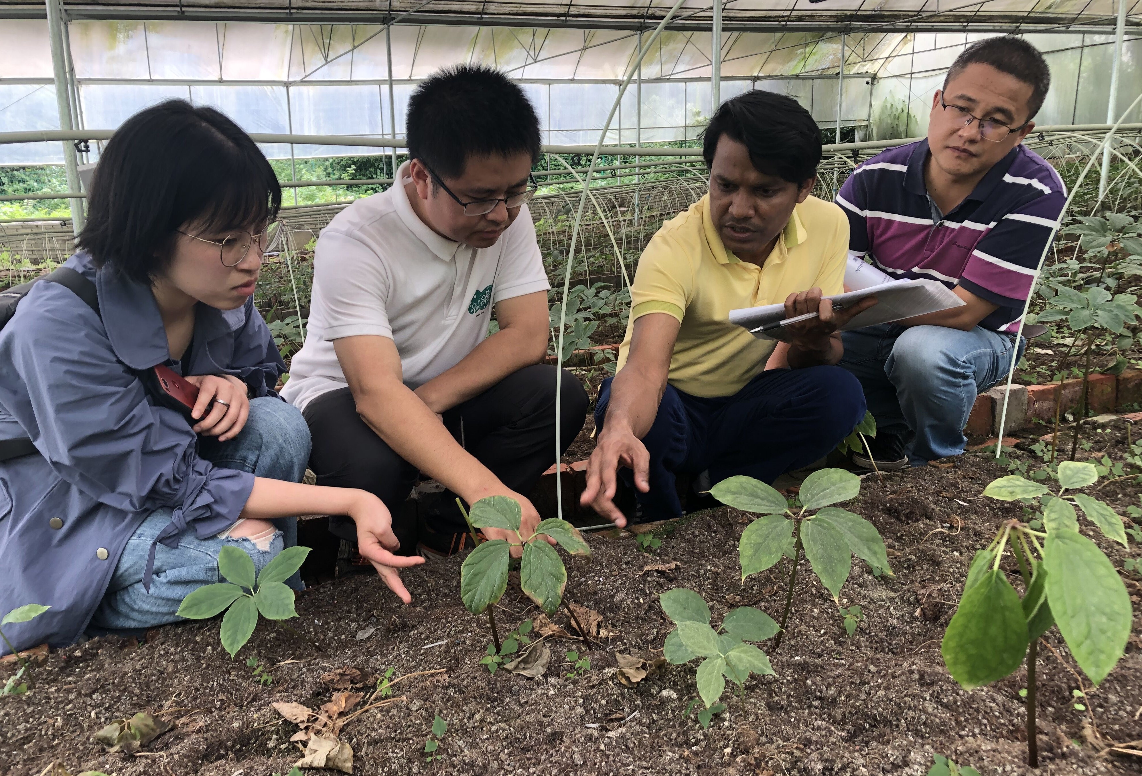 香港资料一句爆特